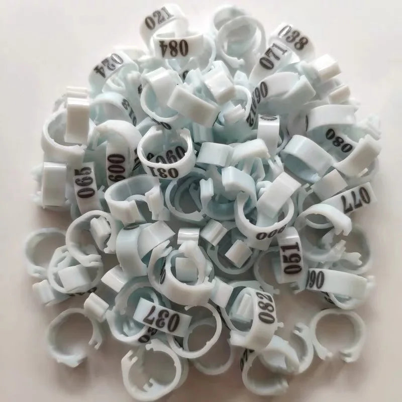 Inner Diameter 8mm Pigeon Leg Bands Poultry Dove Bird Parrot Clip Rings Band Foot Ring Pigeon Supplies Bird Appliances 100 Pcs
