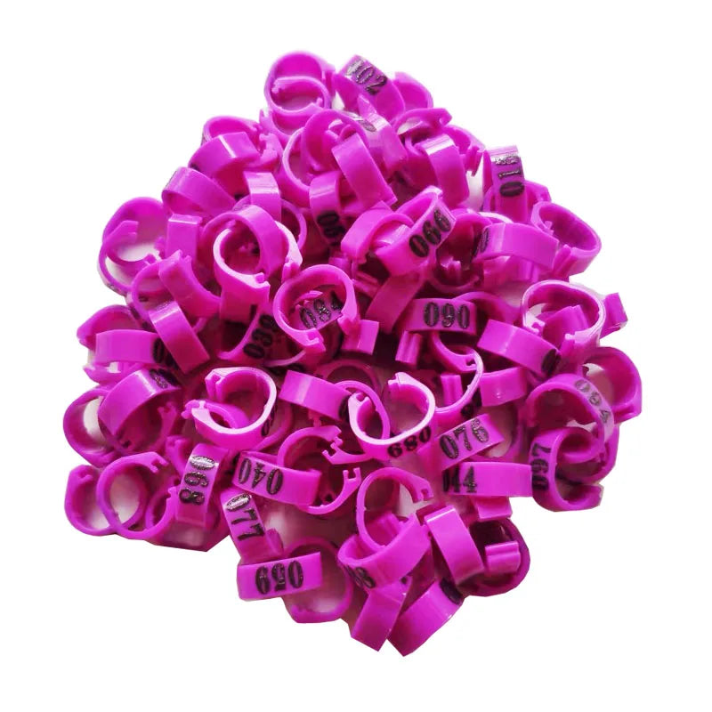 Inner Diameter 8mm Pigeon Leg Bands Poultry Dove Bird Parrot Clip Rings Band Foot Ring Pigeon Supplies Bird Appliances 100 Pcs