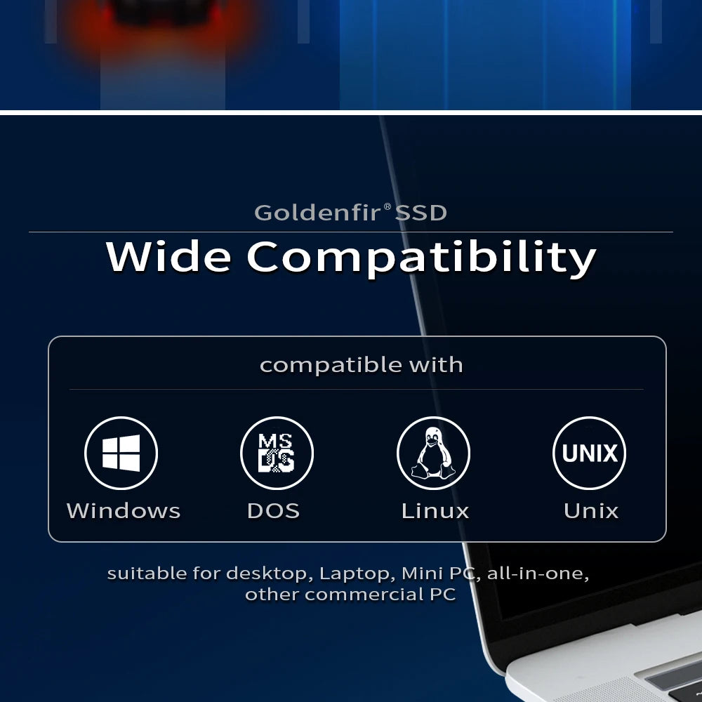 Goldenfir SSD 120GB 250GB 500GB 960GB 2.5 Internal Solid State Disk