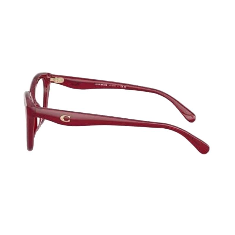 Coach Women's Cat-Eye Eyeglasses