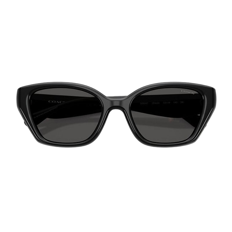 Coach HC8434U Women's Cat-Eye Gradient Sunglasses