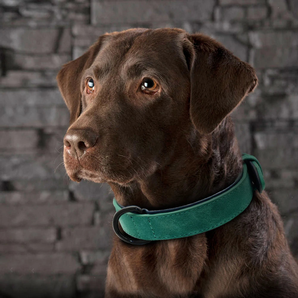 Large Dog Collar Soft Padded Real Leather for Big Dogs