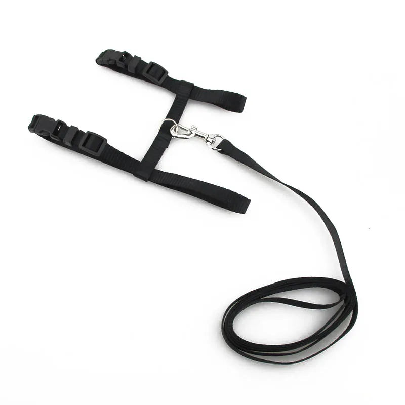 Cat Collar Harness Leash Adjustable Nylon Pet Traction Cat Kitten Dog Halter Collar gato Cats Products Pet Harness Belt