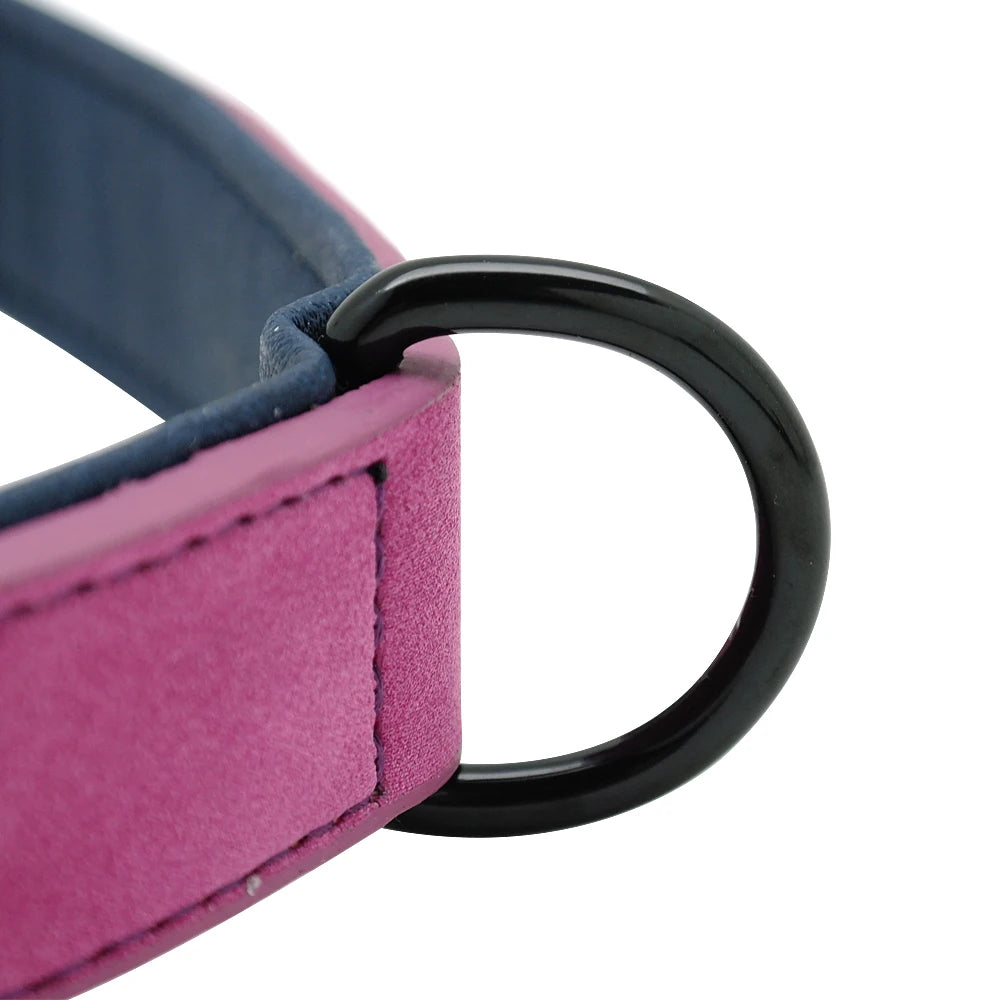 Large Dog Collar Soft Padded Real Leather for Big Dogs