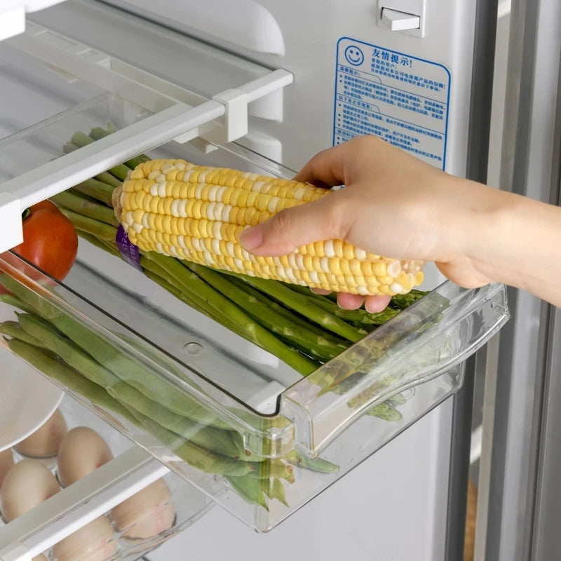 Transparent Kitchen Fridge Organizer Under-Shelf Storage Rack for Fruits Eggs and Food Items