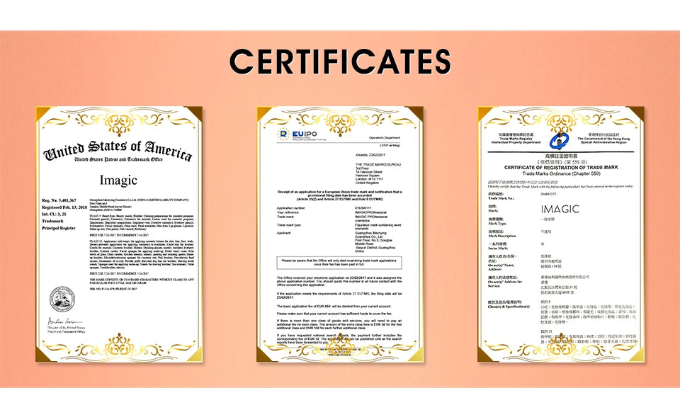 IMAGIC 12 Colors Flash Tattoo Face and Body Paint Set for Halloween Parties and Fancy Dress Makeup