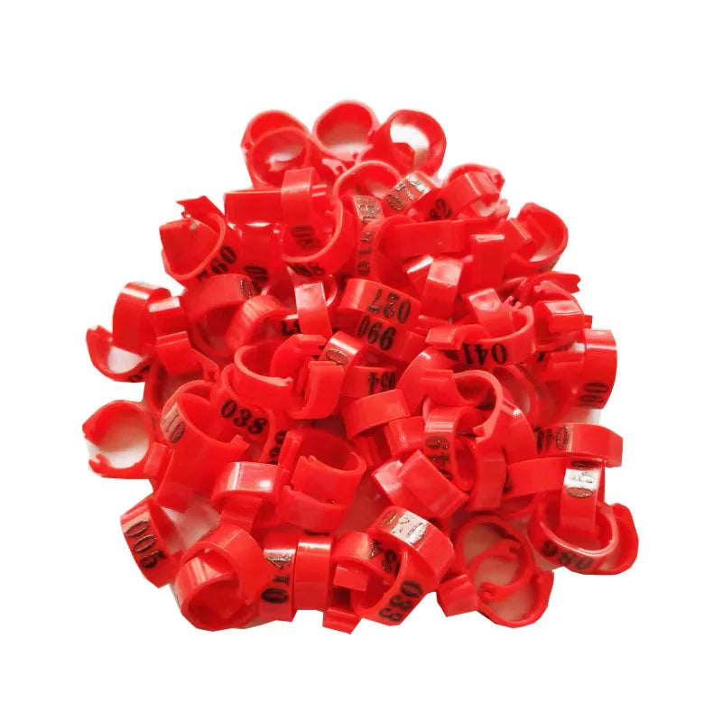 Inner Diameter 8mm Pigeon Leg Bands Poultry Dove Bird Parrot Clip Rings Band Foot Ring Pigeon Supplies Bird Appliances 100 Pcs