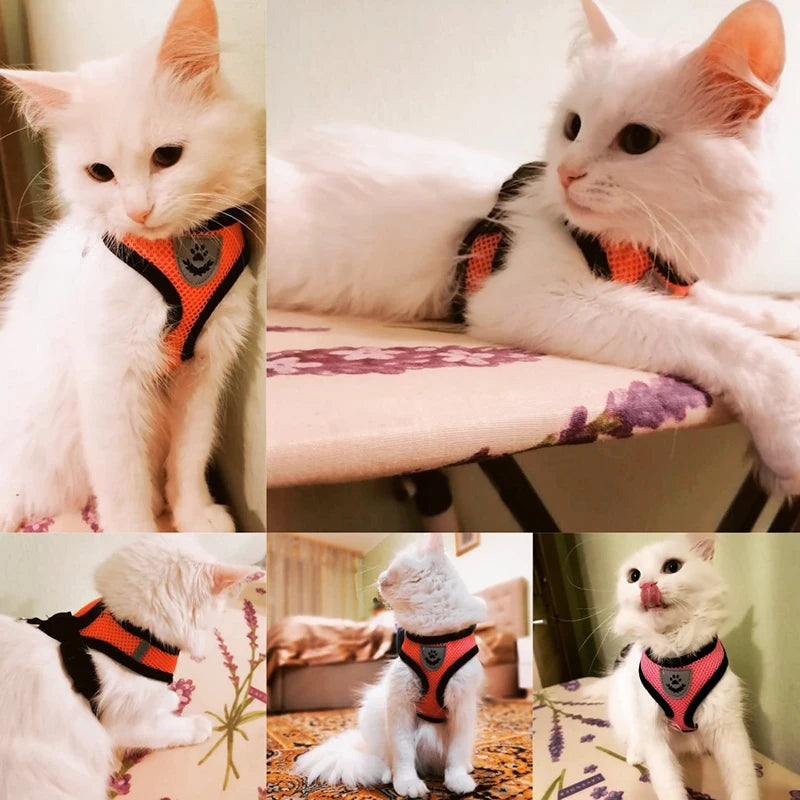 Cat Harness Vest Lead Leash Adjustable Mesh For Small Medium Pets