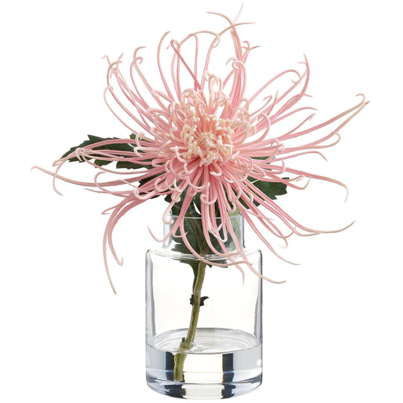 Allstate Floral 9.5" Spider Mum Flower Arrangement with Glass Vase