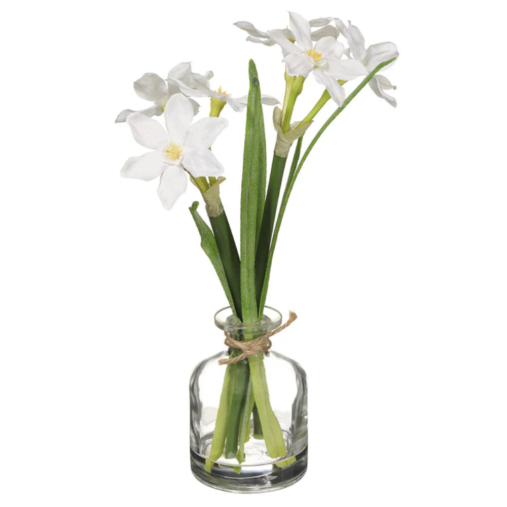 Allstate Floral 12" Narcissus Daffodil Flower Arrangement with Glass Vase - White