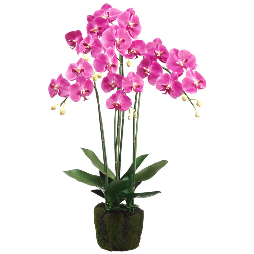 Allstate Floral 35" Phalaenopsis Orchid Flower Arrangement with Soil and Moss Base - Pink