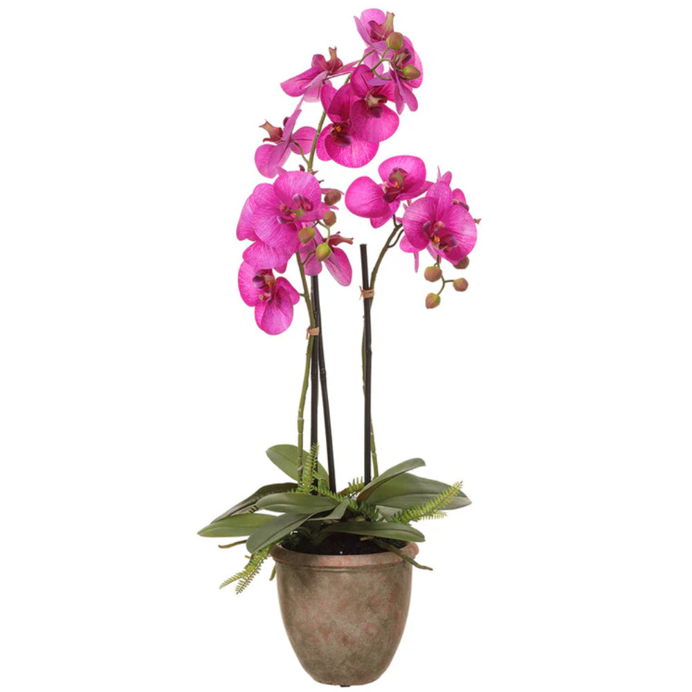 Allstate Floral 27" Phalaenopsis Orchid Flower Arrangement with Pot - Pink