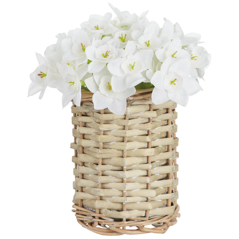 Allstate Floral 7" Paperwhite Flower Arrangement with Basket - White