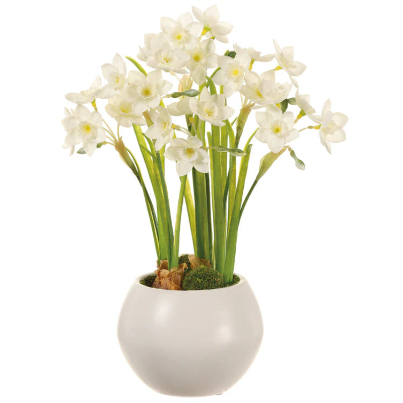 Allstate Floral 14" Paperwhite Flower Arrangement with Ceramic Vase - White