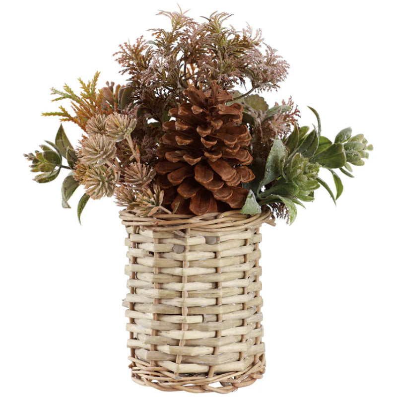 Allstate Floral Sedum, Grass & Pinecone Flower Arrangement with Basket - Brown