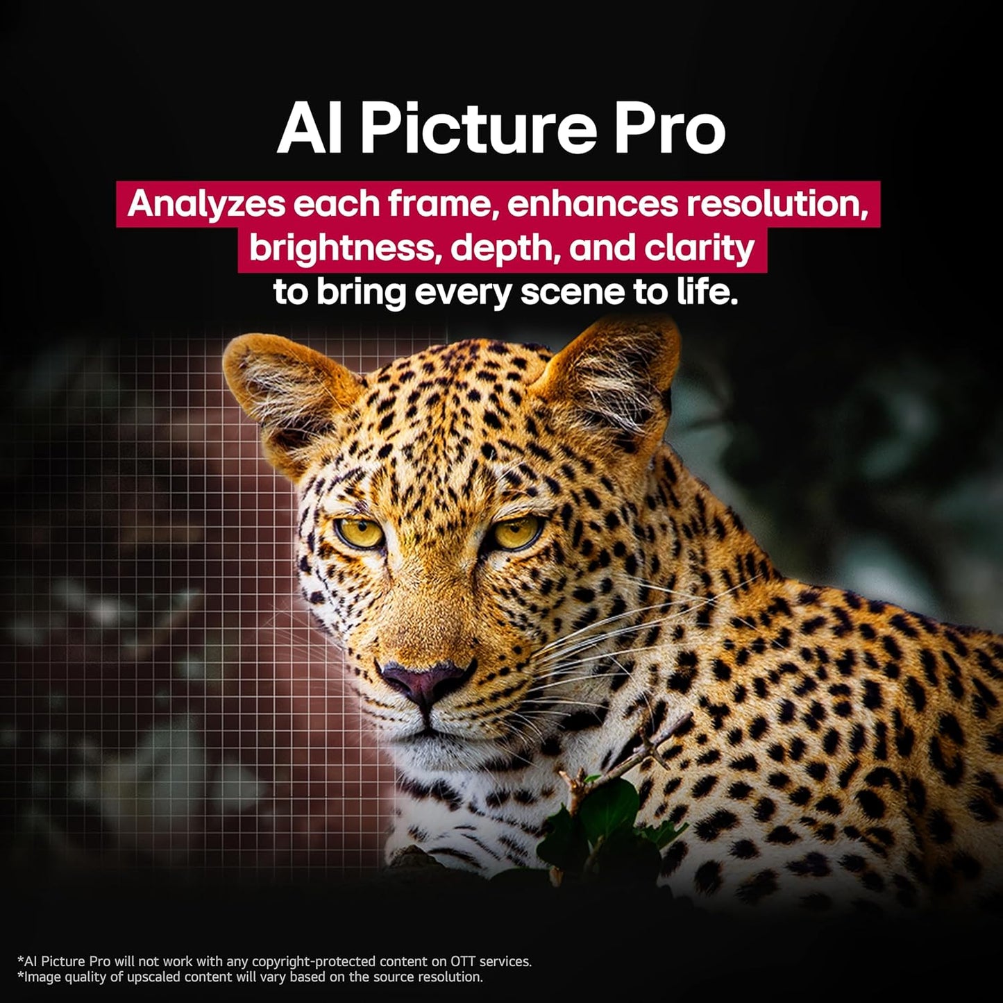 LG Class C5 OLED evo UHD 4K AI Smart WebOS TV