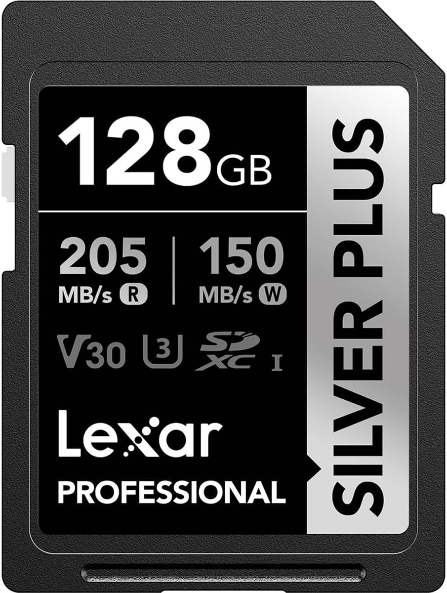 Lexar Professional SILVER PLUS SDXC UHS-I Card