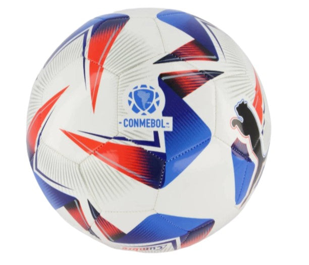 Puma Cumbre Conmebol Copa America 2024 (Official) Soccer Ball - Multicolor