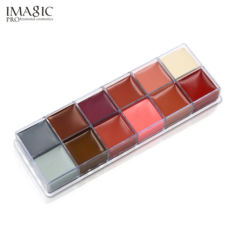 IMAGIC 12 Colors Flash Tattoo Face and Body Paint Set for Halloween Parties and Fancy Dress Makeup