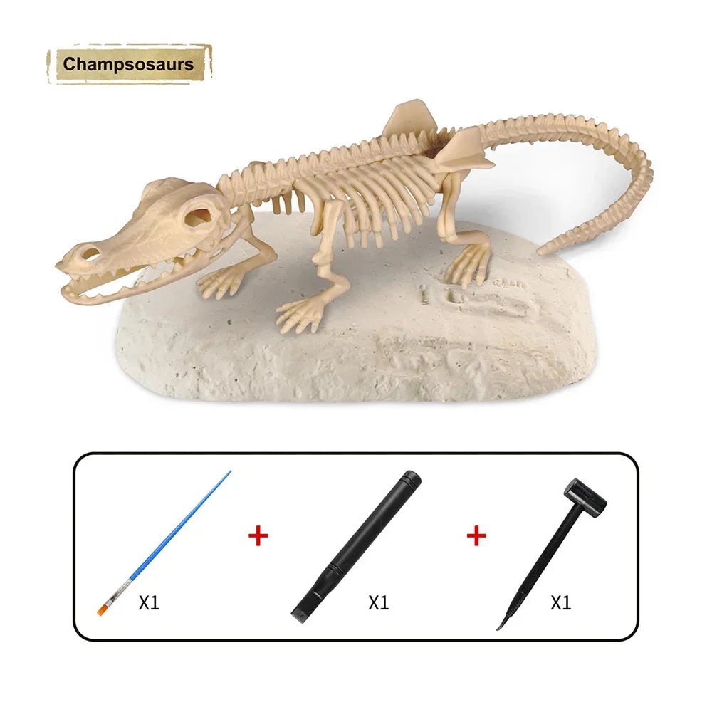 Dinosaur Fossil Excavation Kit for Kids Educational Archaeological Digging Adventure with Realistic Skeleton Models Perfect Gift for Boys and Girls