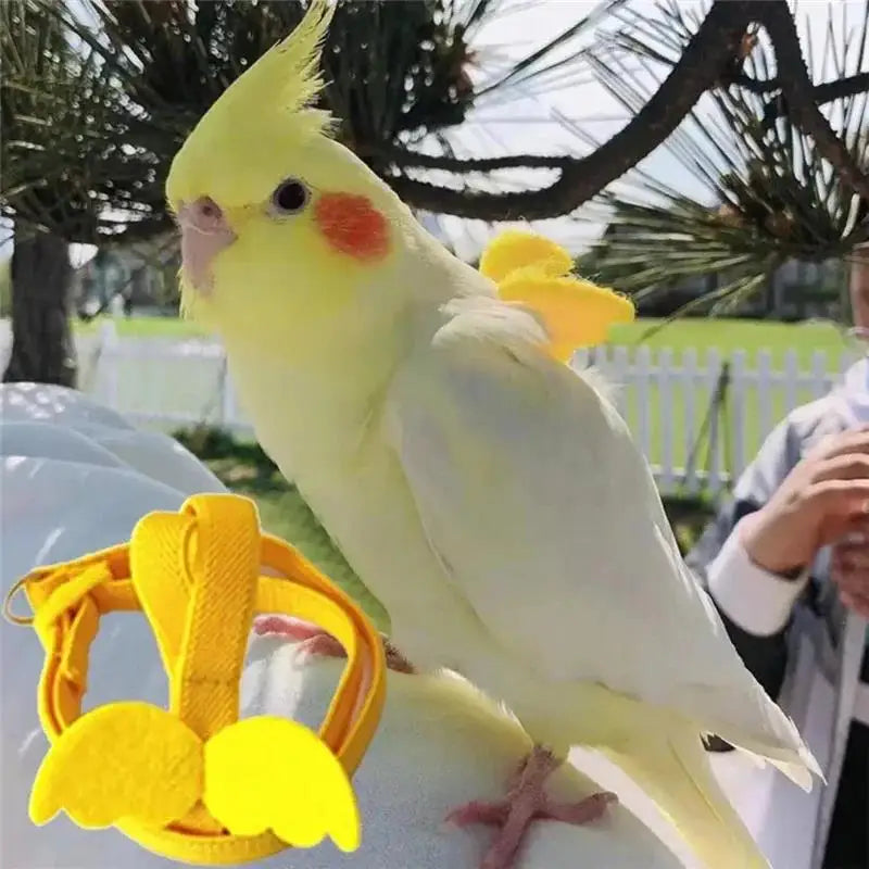 Parrot Bird Harness Leash Set Anti-bite Training Harness Parrots Outdoor Flying Rope Cockatiel Small Birds Supplies