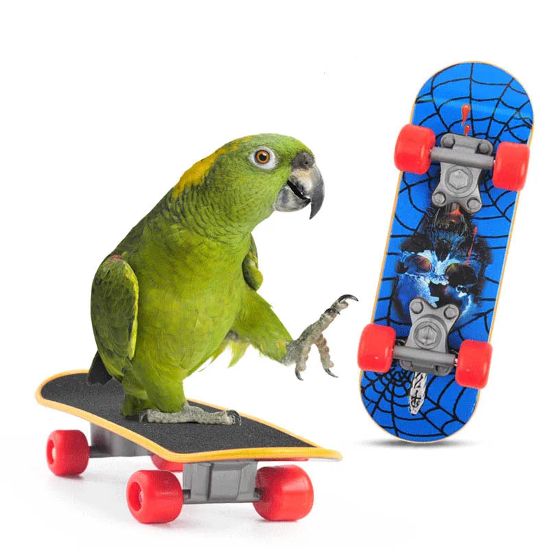 Bird Training Toys Funny Mini Skateboard Bell Ball Vine Balls Parrot Puzzle Toy Intellectual Development Bird Supplies