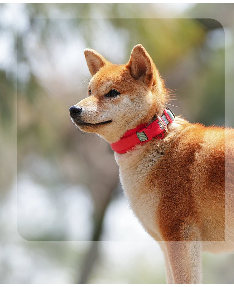 Personalized Adjustable Nylon Reflective Dog Collar with AirTag Holder for Small Medium and Large Dogs