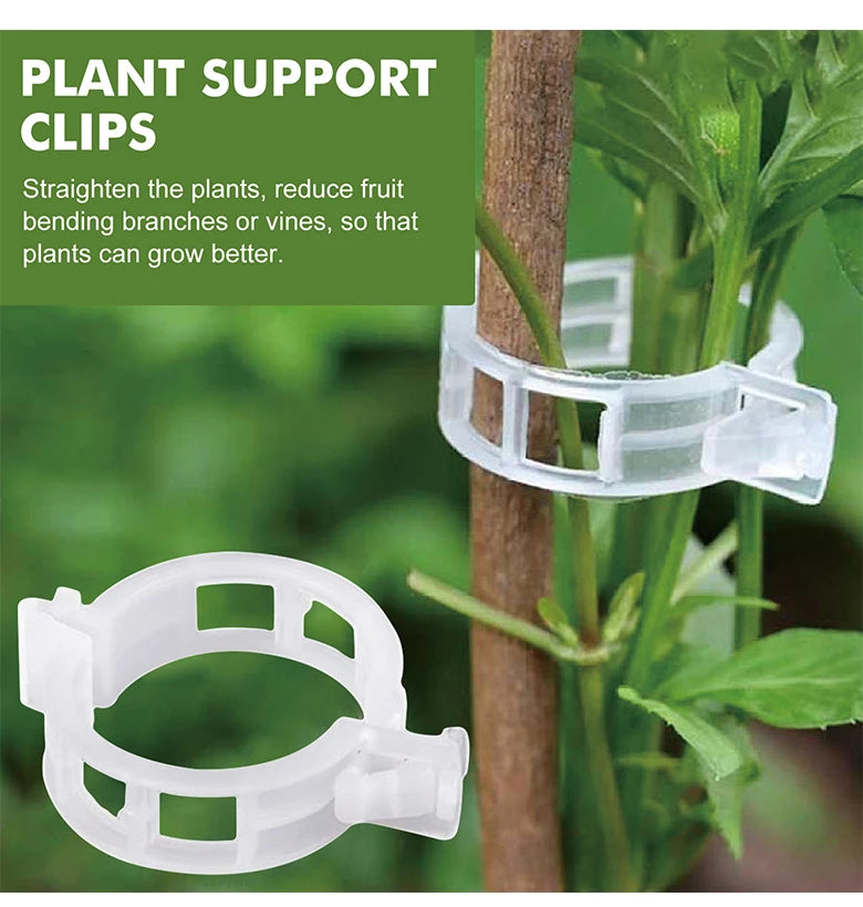 Clips para plantas Soportes de plástico reutilizables Conexiones Fijación de tallos de tomates en rama Injerto Plantas vegetales Herramientas para huertos y jardines