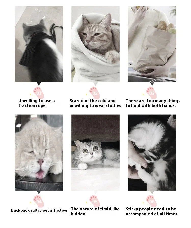 Dog Carrier Bag Soft Side Backpack Airline Approved Transport for Small Dogs and Cats