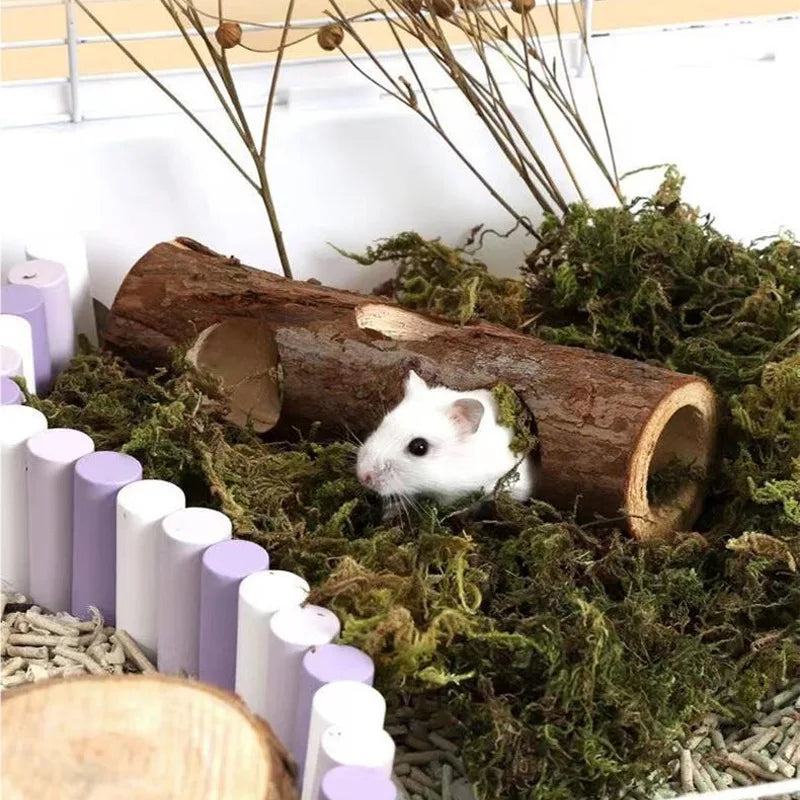 Natural Pet Toy Grinding Cleaning Chew Toy Small Pets Toys For Hamster Rabbit Grinding Products Made of Apple Tree Wood