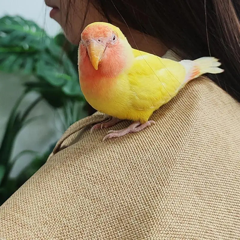28TC Comfortable Parrots Shoulder Cape With Arm Protective Covers for Bird Training