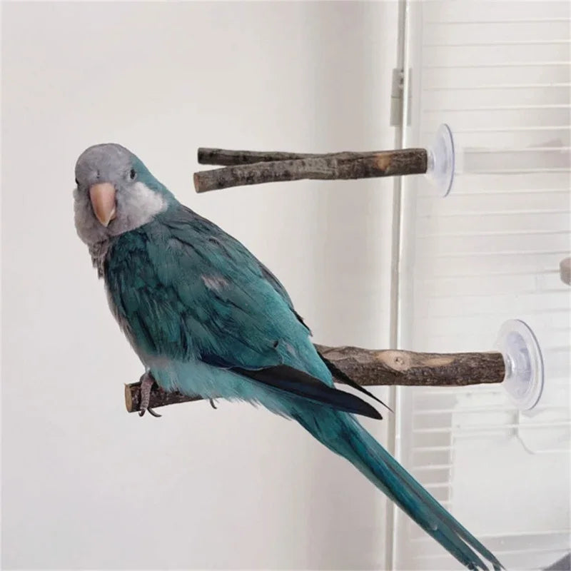 3pack Parrots Wall Bath Standing Rack Suction Cup Station Poles Interaction Toy for Budgies and Similar Birds