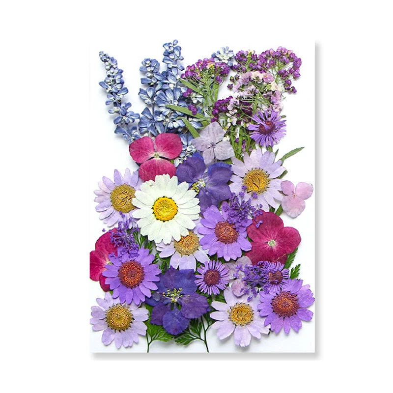 Dried Flowers Real Natural Plant Pressed Flower for Epoxy Resin DIY Keychain Pendant Jewelry Making