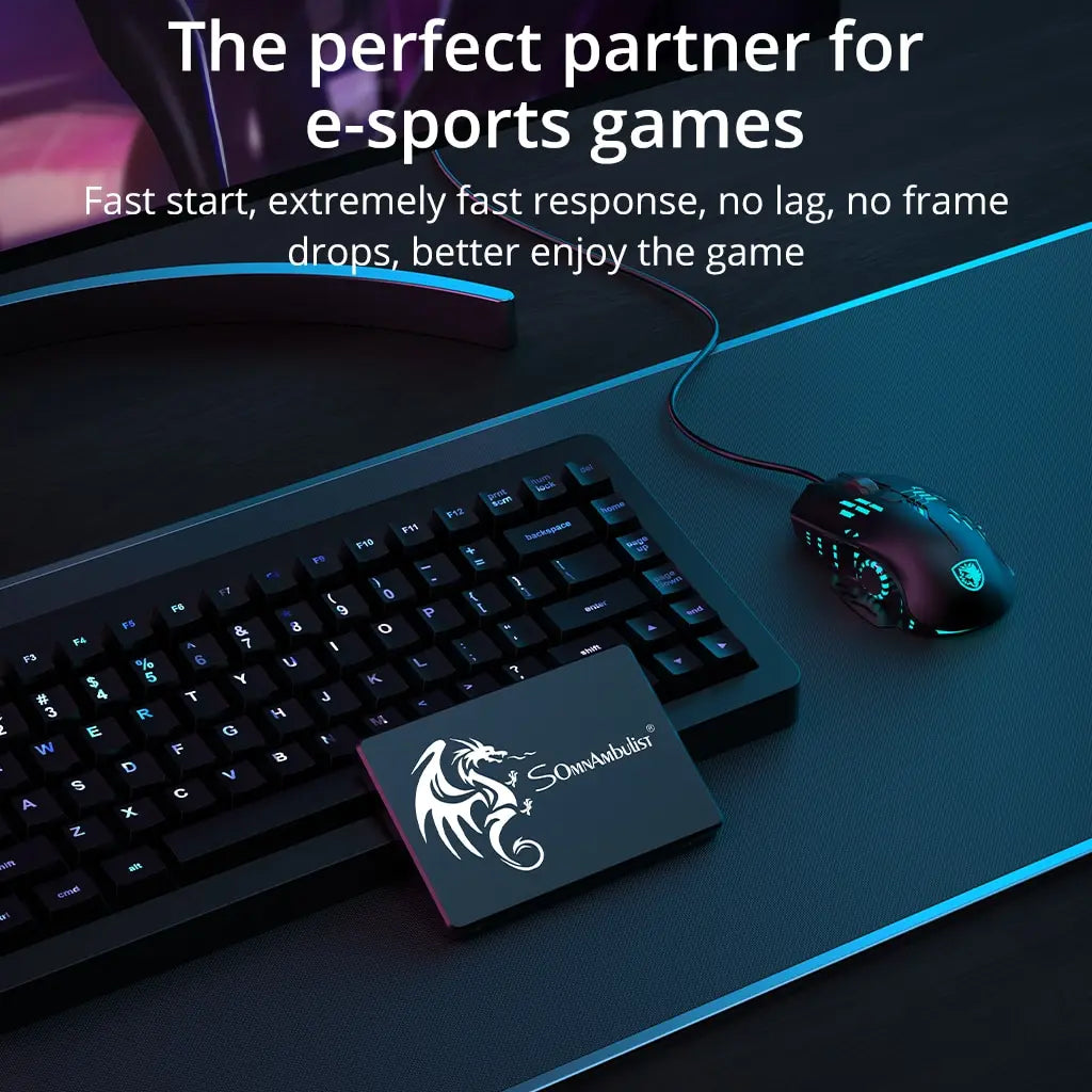 SomnAmbulist SSD Internal SATA3 120GB to 2TB for PC Laptop