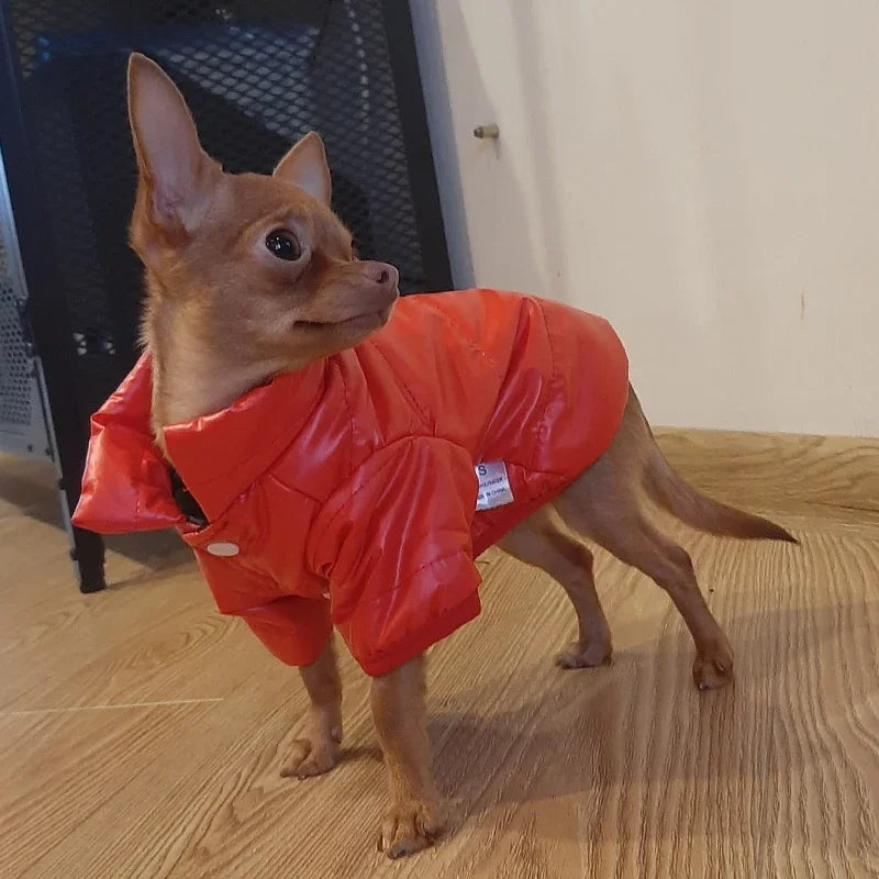Waterproof Jacket for Small Dog Clothes for York Coat for Little Dog Hoodie for Chihuahua, Pet Products Dog Leash Winter