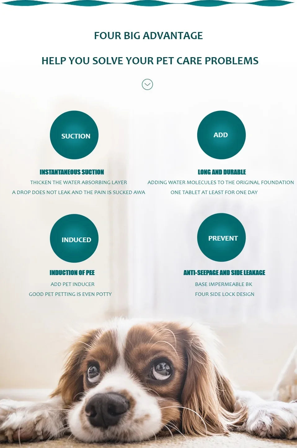 Reusable Absorbent Dog Pee Pad Blanket Washable Puppy Training Mat Comfortable Pet Bed Urine Mat for Car Seat and Home Use