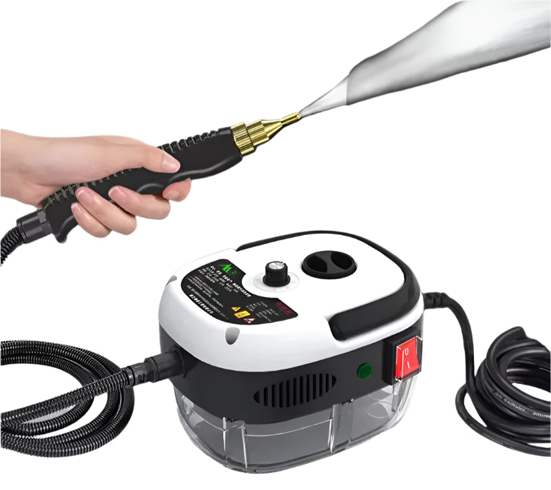 High Temperature Steam Cleaner for Kitchen Car and Air Conditioning with 110V and 220V Options