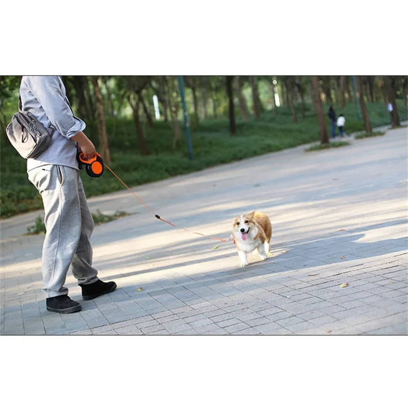 Retractable Dog Leash 3m 5m 8m Adjustable for Small and Large Dogs Durable Walking and Hiking Accessories