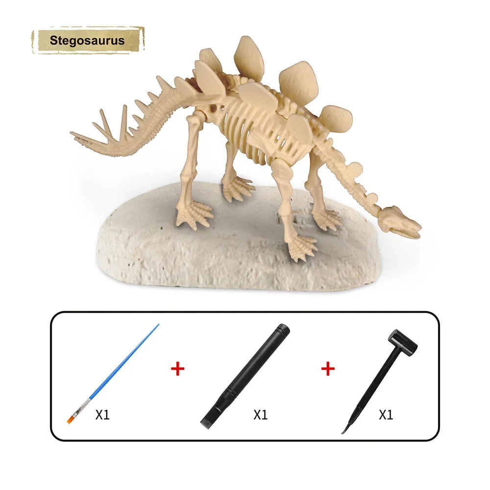 Dinosaur Fossil Excavation Kit for Kids Educational Archaeological Digging Adventure with Realistic Skeleton Models Perfect Gift for Boys and Girls