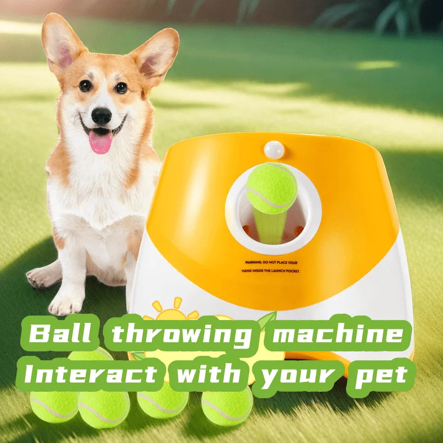 Dog Launcher Automatic Dogs Chase Toy Tennis Throwing Pinball - Main Image