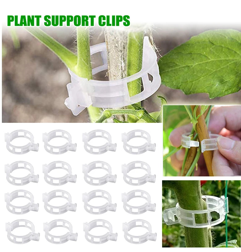 Clips para plantas Soportes de plástico reutilizables Conexiones Fijación de tallos de tomates en rama Injerto Plantas vegetales Herramientas para huertos y jardines