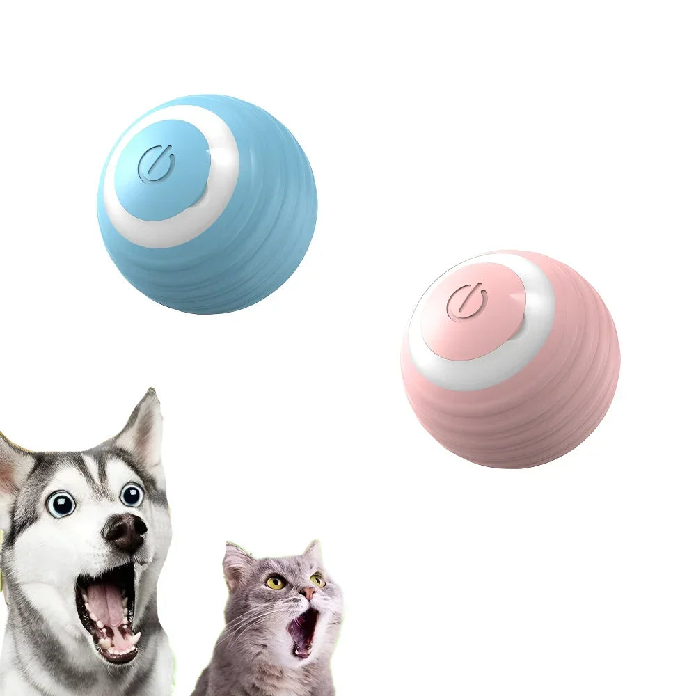 Cat Interactive Ball Smart Cat Toys For Indoor Fun