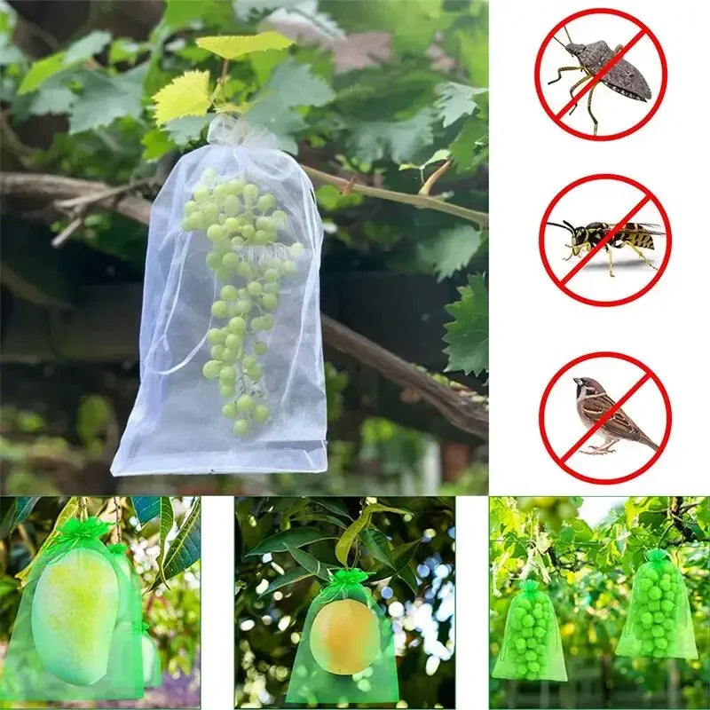 Bolsas de protección para uvas, bolsas de cultivo de malla, productos de control de plagas de frutas, bolsas de organza transpirables para plántulas de fresa, 50/100 unidades