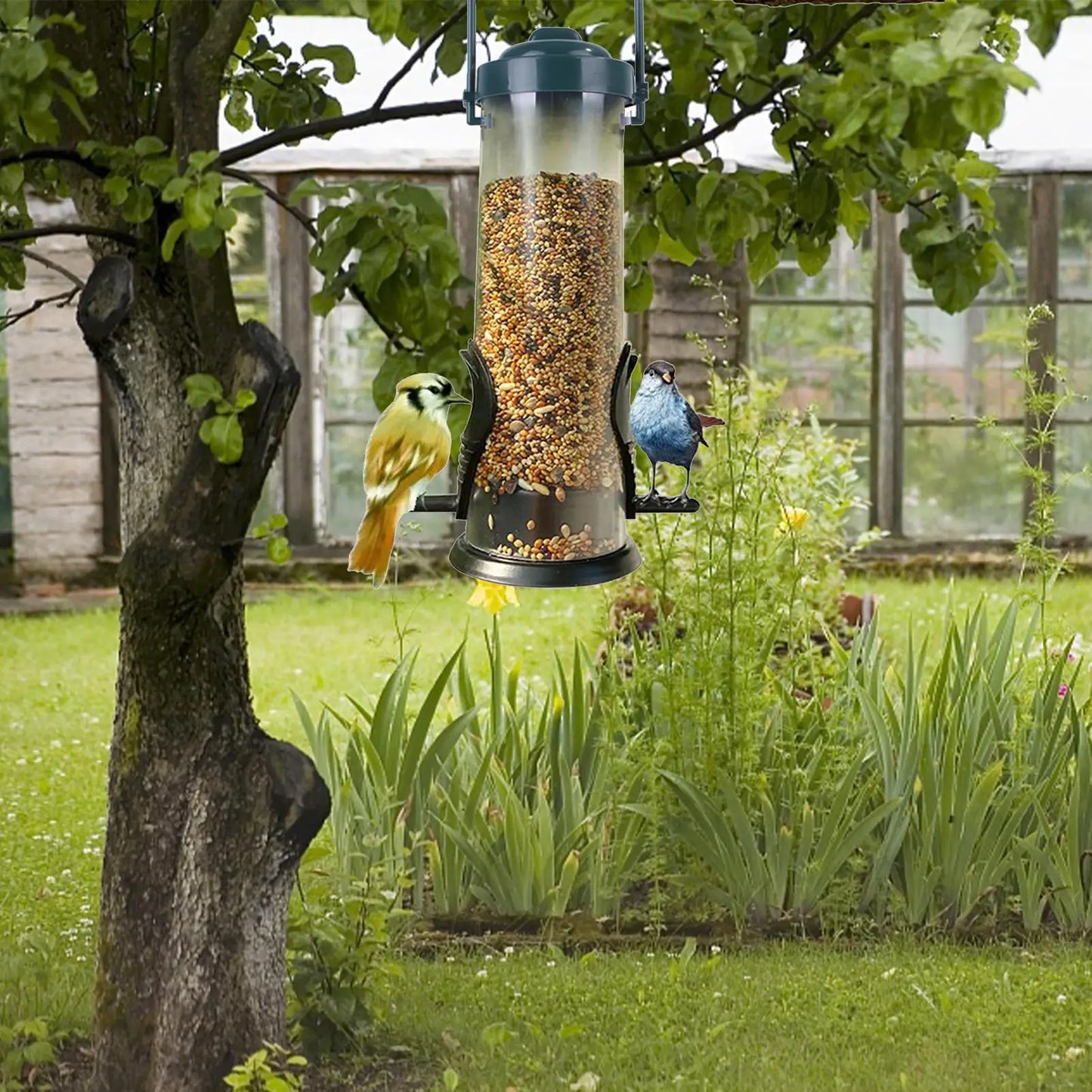 Dangling Bird Feeder Bird Food Dispenser Squirrel Proof Bird Food Container Bird Food Dispenser Container Tubular Bird Suppliy