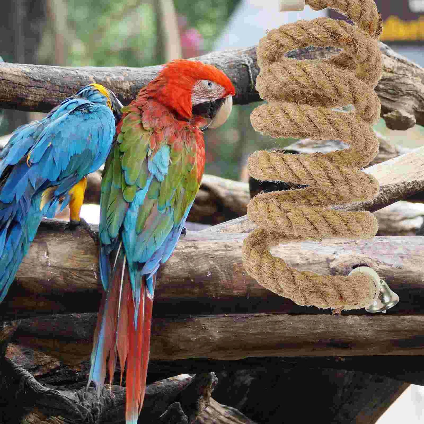 2M Durable Cotton Climbing Rope Toy Bird Rope Perch Parrot Swing Stand Rope Perches For Cages Pet Accessories Hanging Bird Toy