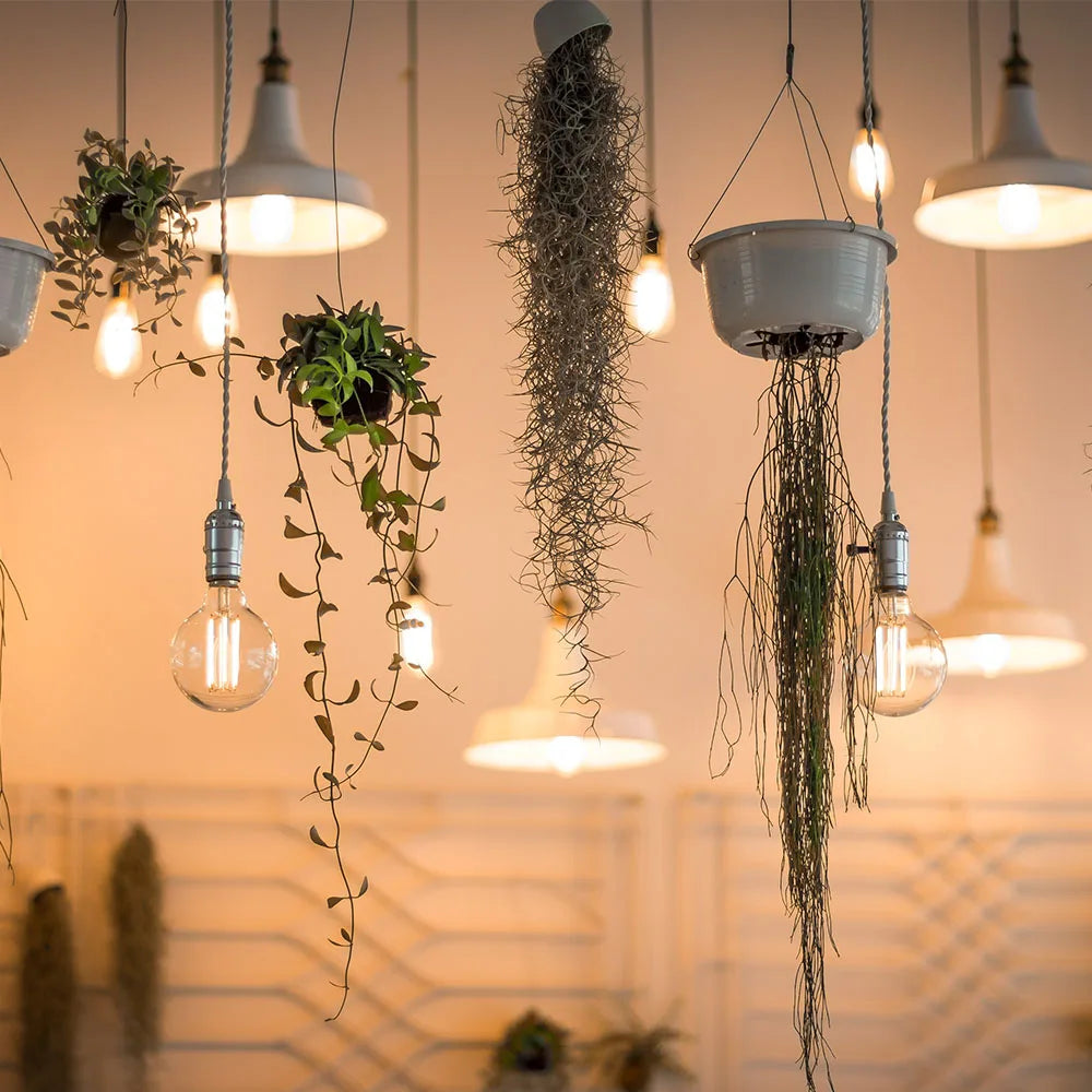 E27 Retro Edison Lamp Bulbs 40W for Halloween and Christmas