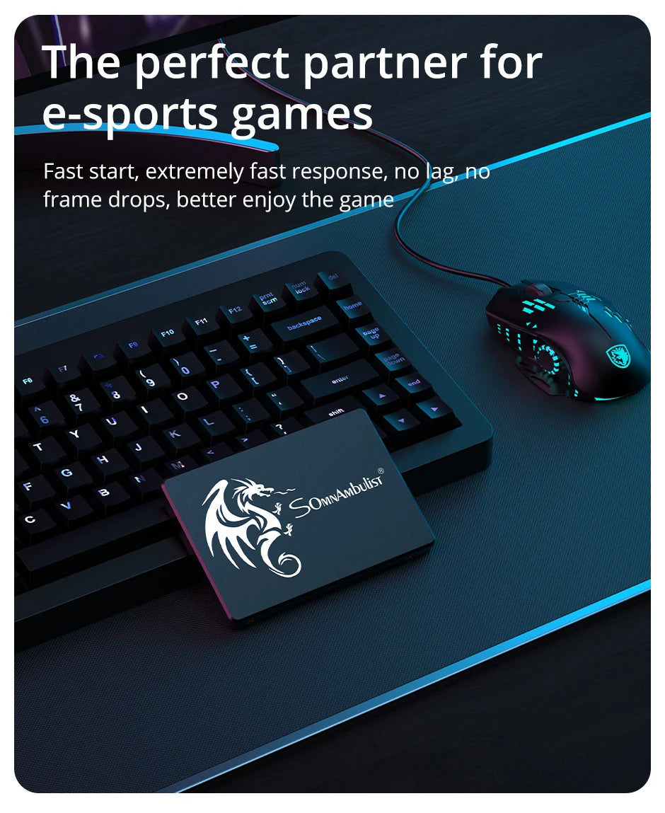 SomnAmbulist SSD Internal SATA3 120GB to 2TB for PC Laptop