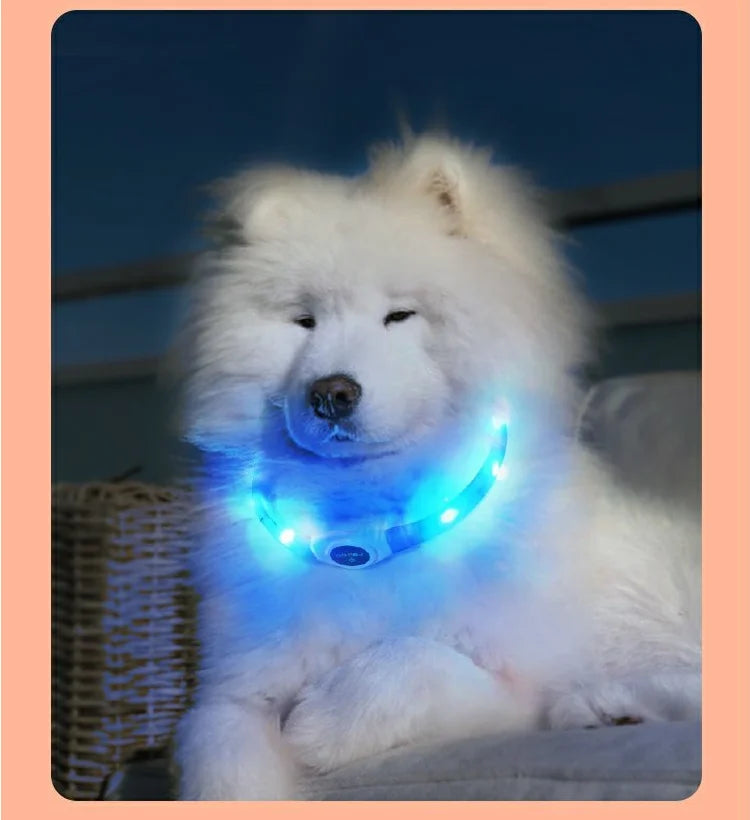 LED Luminous Dog Collar Waterproof USB Rechargeable Safety Light for Medium Large Small Dogs