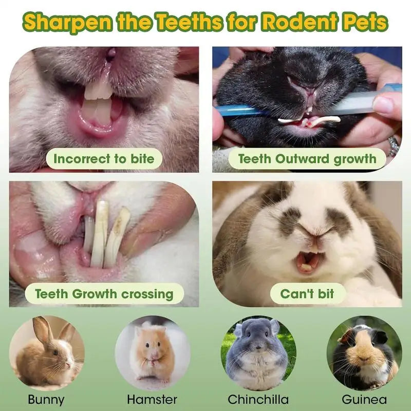 Hamster Chew Sticks 2X Wood Bunny Chewing Treats Natural Papaya Pet Teeth Care Supplies Healthy Teeth Grinding Toys For Indoor