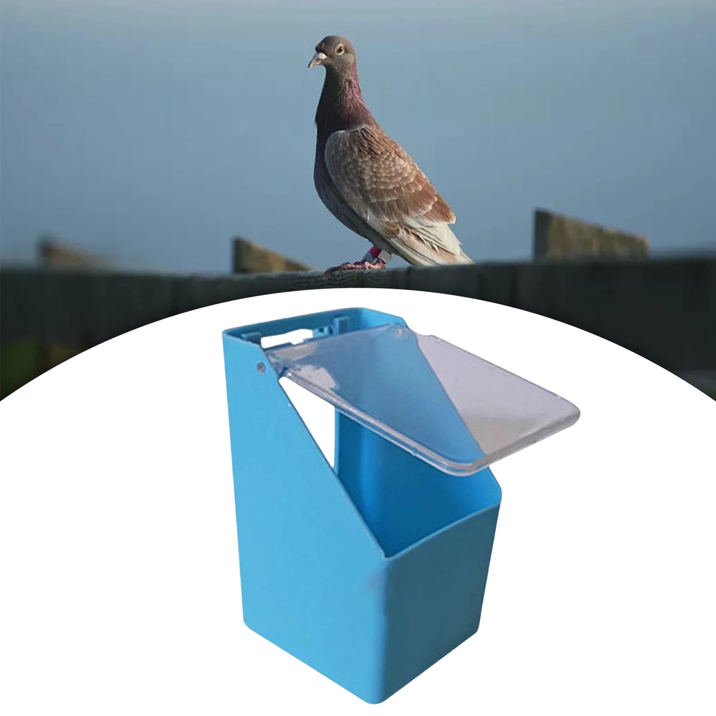 Plastic Birds Water Feeder Hanging Pigeon Food Dispenser Drinker Parrot Feeding Bowl Box for Bird Feeding Supplies